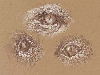 How to draw a dragon - eyes