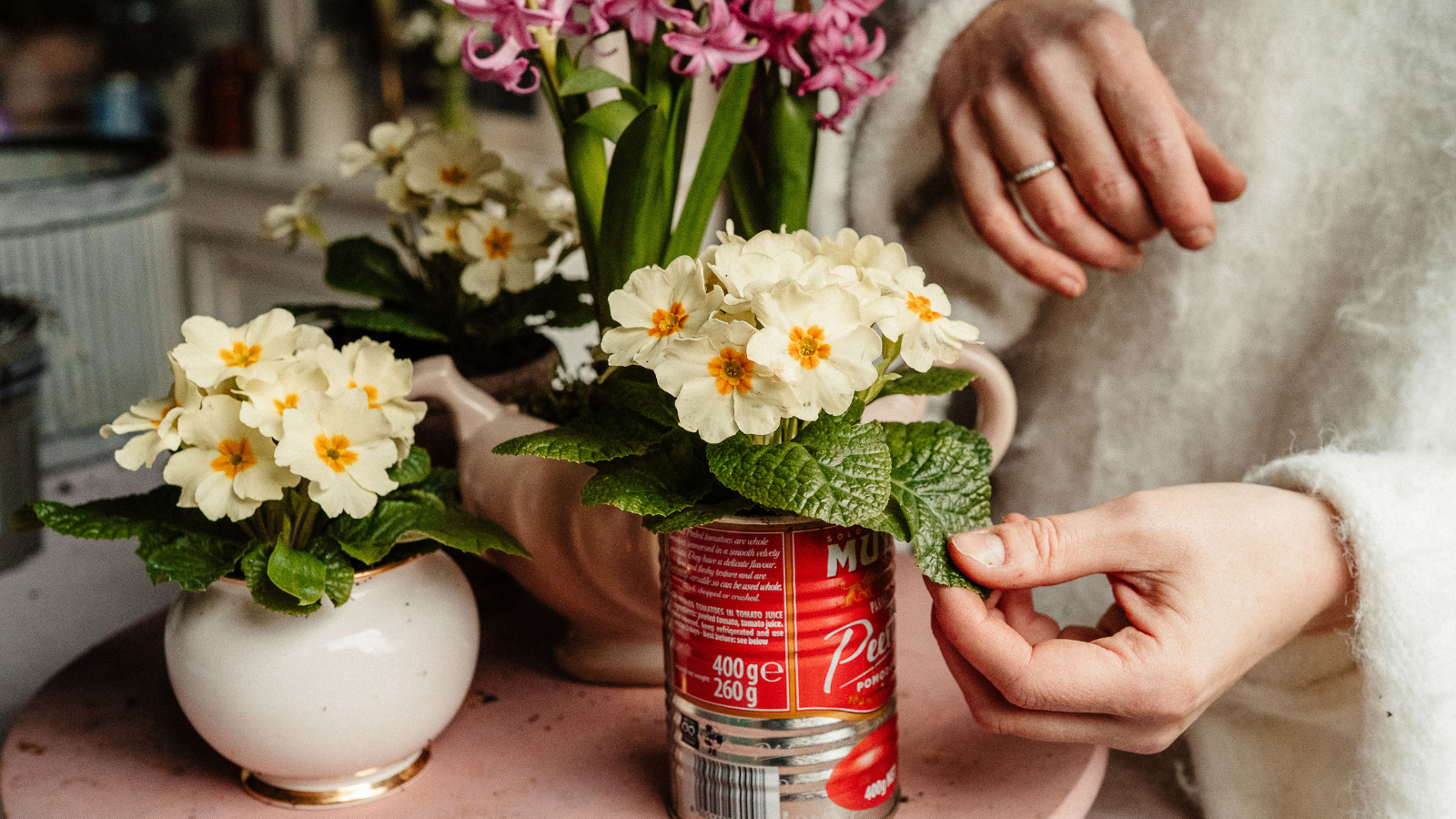 Primroses potted in ceramic containers and recycled tins