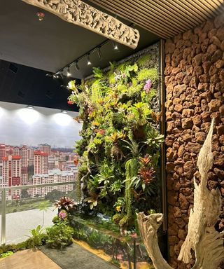 A living wall of greenery and tropical plants in a city apartment