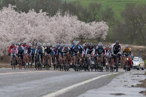 The mostly complete women's field makes the short climb up Bledsoe Road on their second lap of the Almond Blossom road race course.
