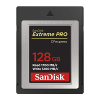 SanDisk Extreme Pro CFExpress Type-B memory card (256GB): $399.99 $139.99 at Adoramabest Cyber Monday deals