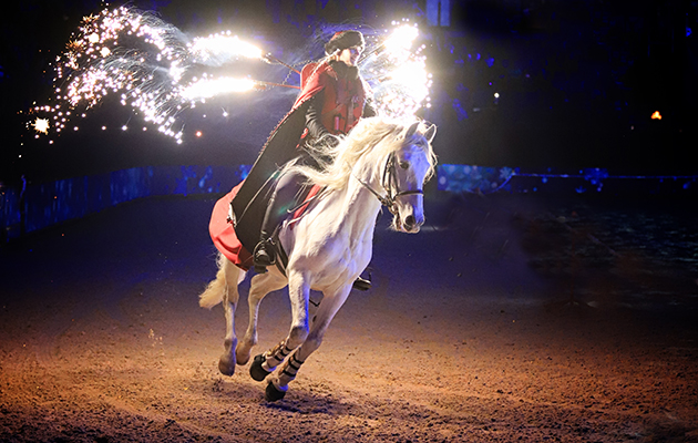Brand new act Luminoso is a mesmerising combination of stunning horses, stunt riders &mdash; and plenty of tricks