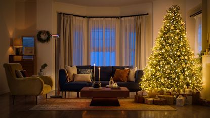 Living room with large windows, navy blue sofa, armchair and large christmas tree with warm lights