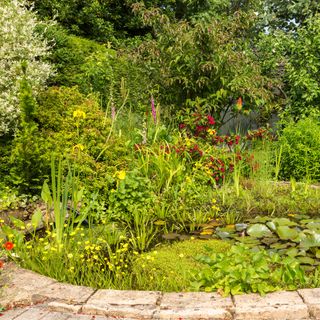 Garden pond with surrounding plants and brick tiled edge