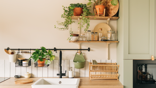 Kitchen with plants