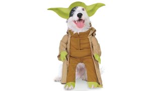 Star Wars Costume_Yoda Pet Costume for Dog