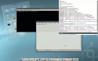 Linux exposed - terminals