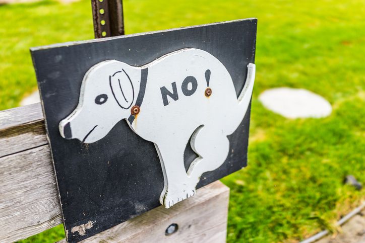 No dog poop sign