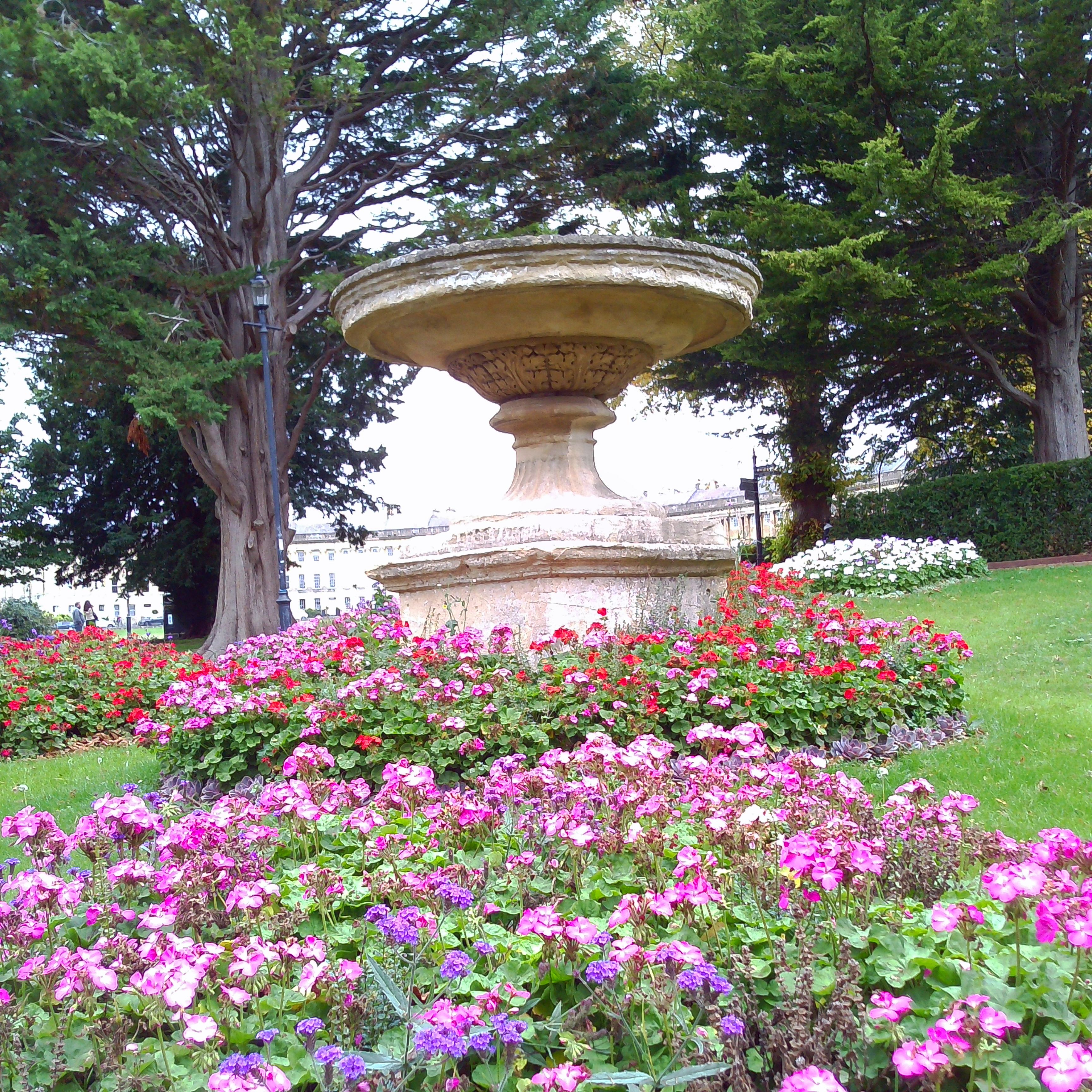 Chuzhao sample images