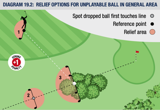 Ball stuck in bush - unplayable options