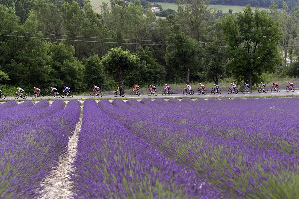 Matteo Trentin (Mitchelton-Scott) wins stage 17 at the Tour de France