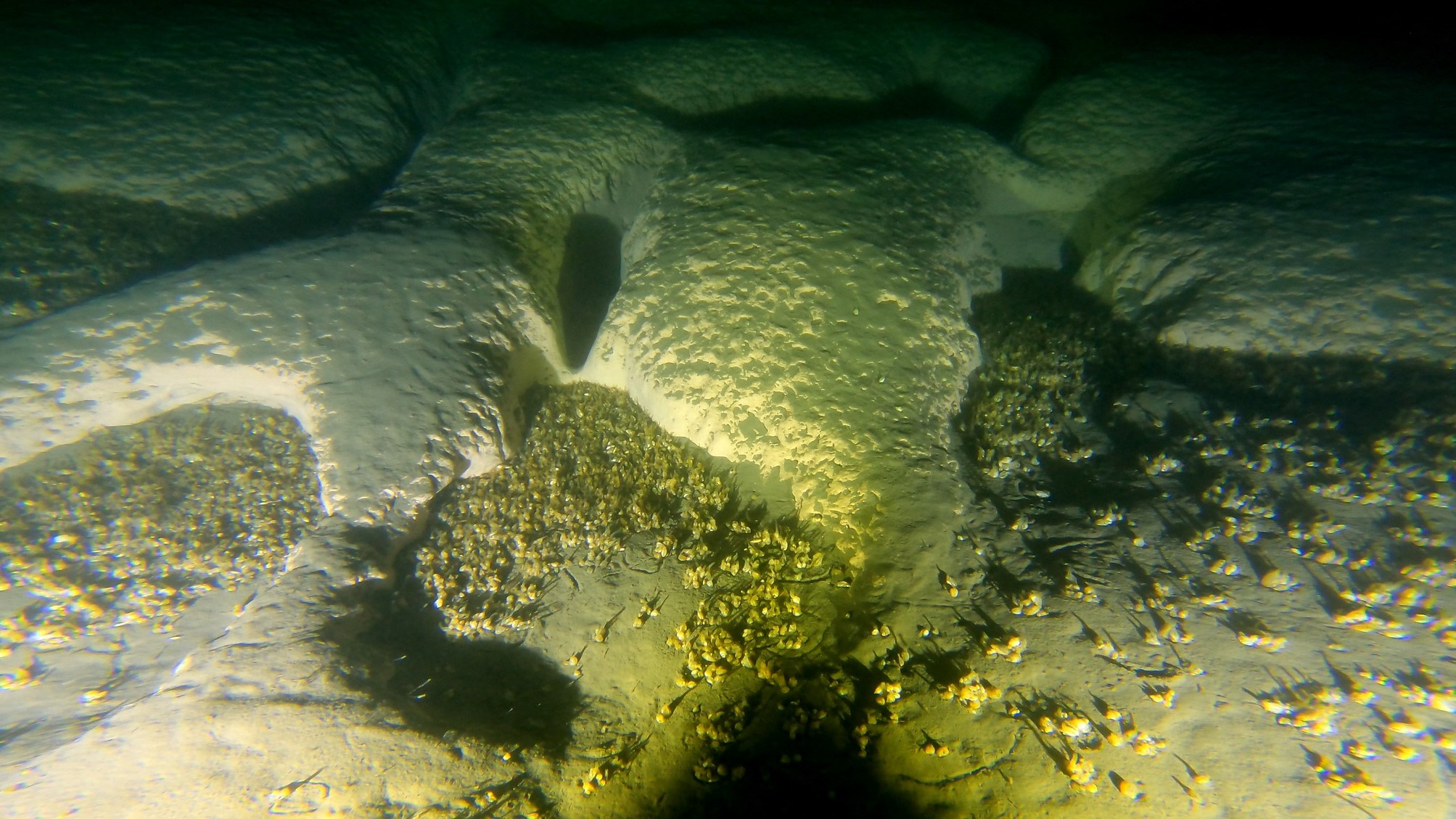 Scientists verify there are 40 large craters on the backside of Lake Michigan