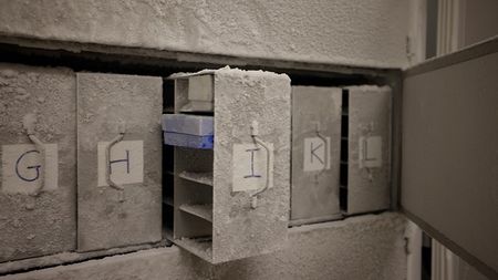 A freezer compartment at the University of Zurich containing microbial samples.