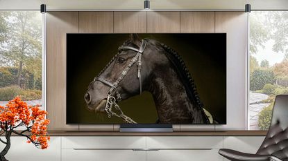 LG C6 OLED on an AV cabinet in a living room (marketing image)