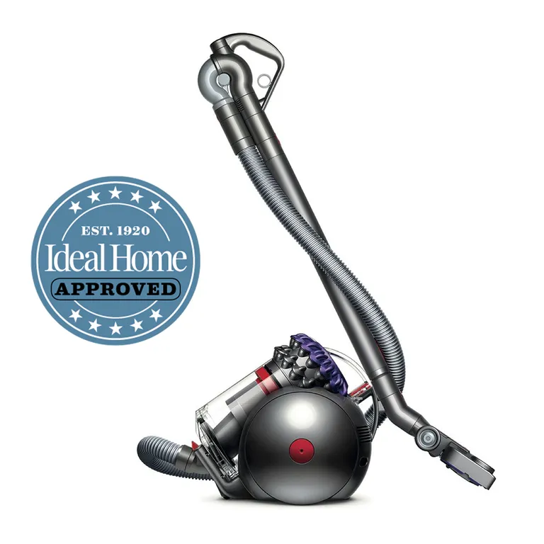 Dyson cinetic big ball absolute 2