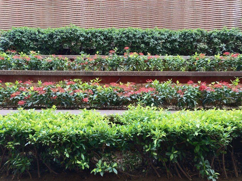 Vivo NEX camera sample
