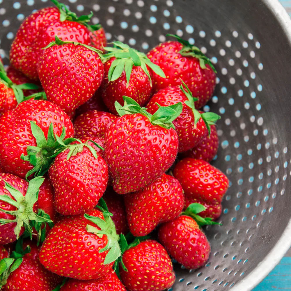 Gardens Alive Charlotte Strawberries