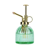 Eidoct Glass Plant Mister Spray Bottle, £7.75 at Amazon