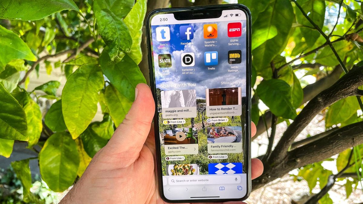 iPhone held in hand in front of tree