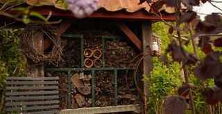 cottage garden with wildlife houses and bug houses