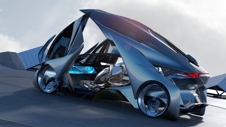 Biometric Vehicle Access