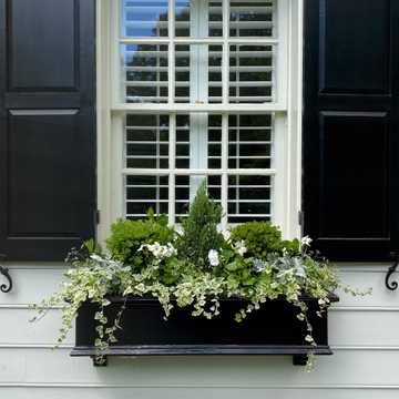 Window box ideas to boost your home's curb appeal | Livingetc