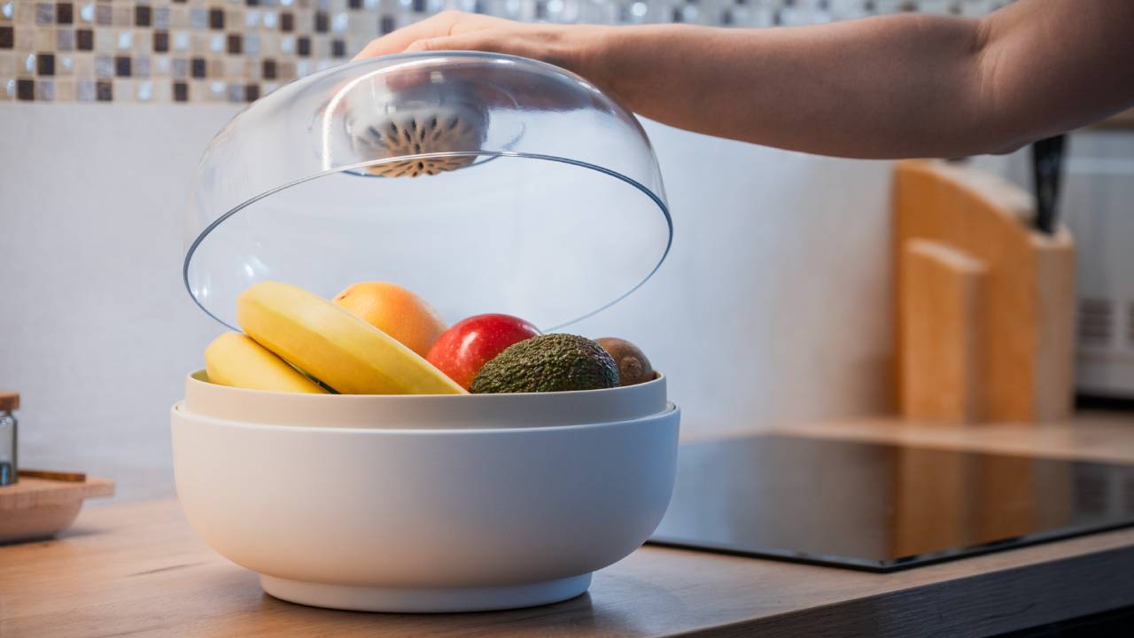 Vitesy Fruit Bowl