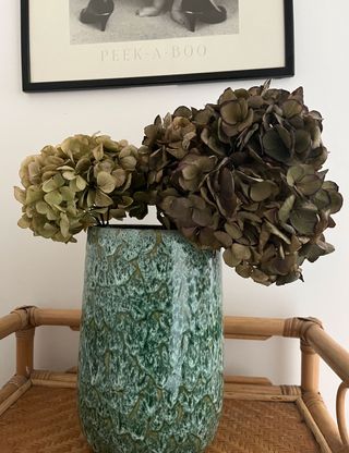 Dried hydrangea blooms in large blue ceramic vase on display