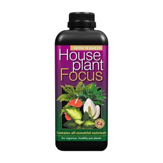 Houseplant Focus Balanced Liquid Concentrated Fertiliser on white background