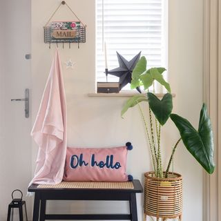 Hallway bench with cushion and plant