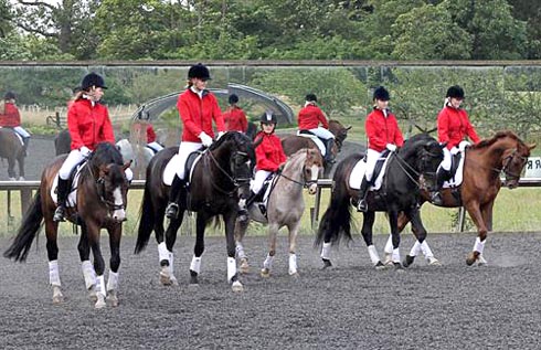 Morris equestrian