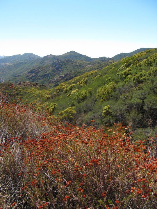 Santa Monica Mountains