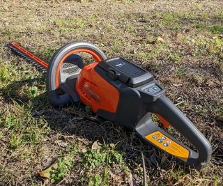 hedge trimmer lying on a lawn