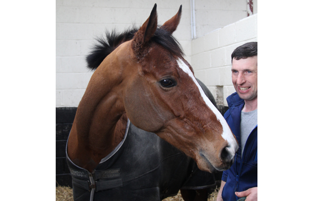 17 Faugheen
