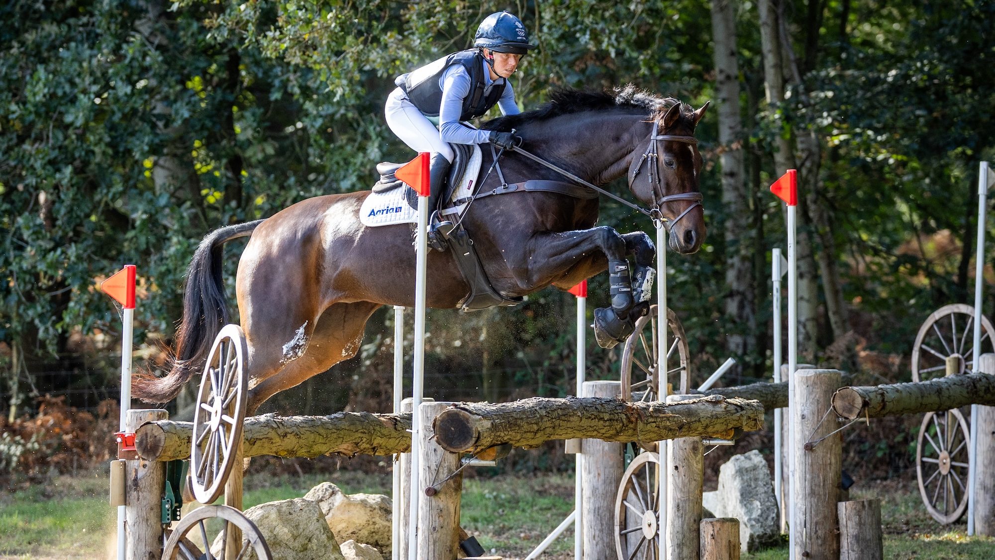 Image shows Ros Canter on a bay horse jumping a cross-country fence