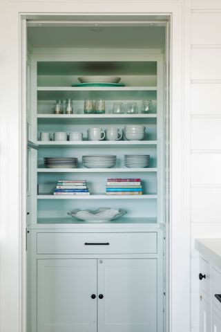 seagreen pantry unit in alcove with pocket sliding door and display shelves