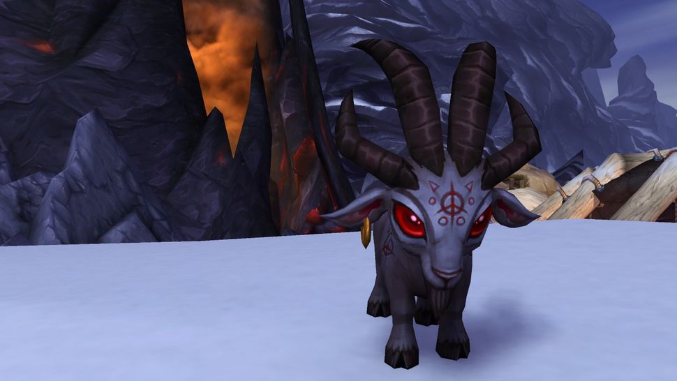 World Of Warcraft: Battle For Azeroth Guide - How To Get Secret Pet Baa ...