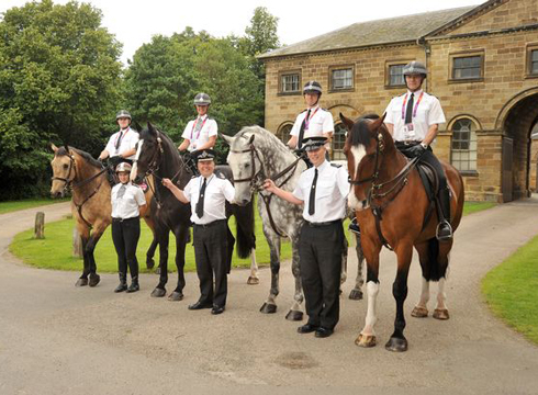 Cleveland Police Horses from web