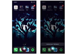 How to delete an alarm with Siri: Say Hey Siri and then say something like Delete my 7 a.m. alarm. Siri will delete your alarm or ask you to confirm which alarm you want to delete