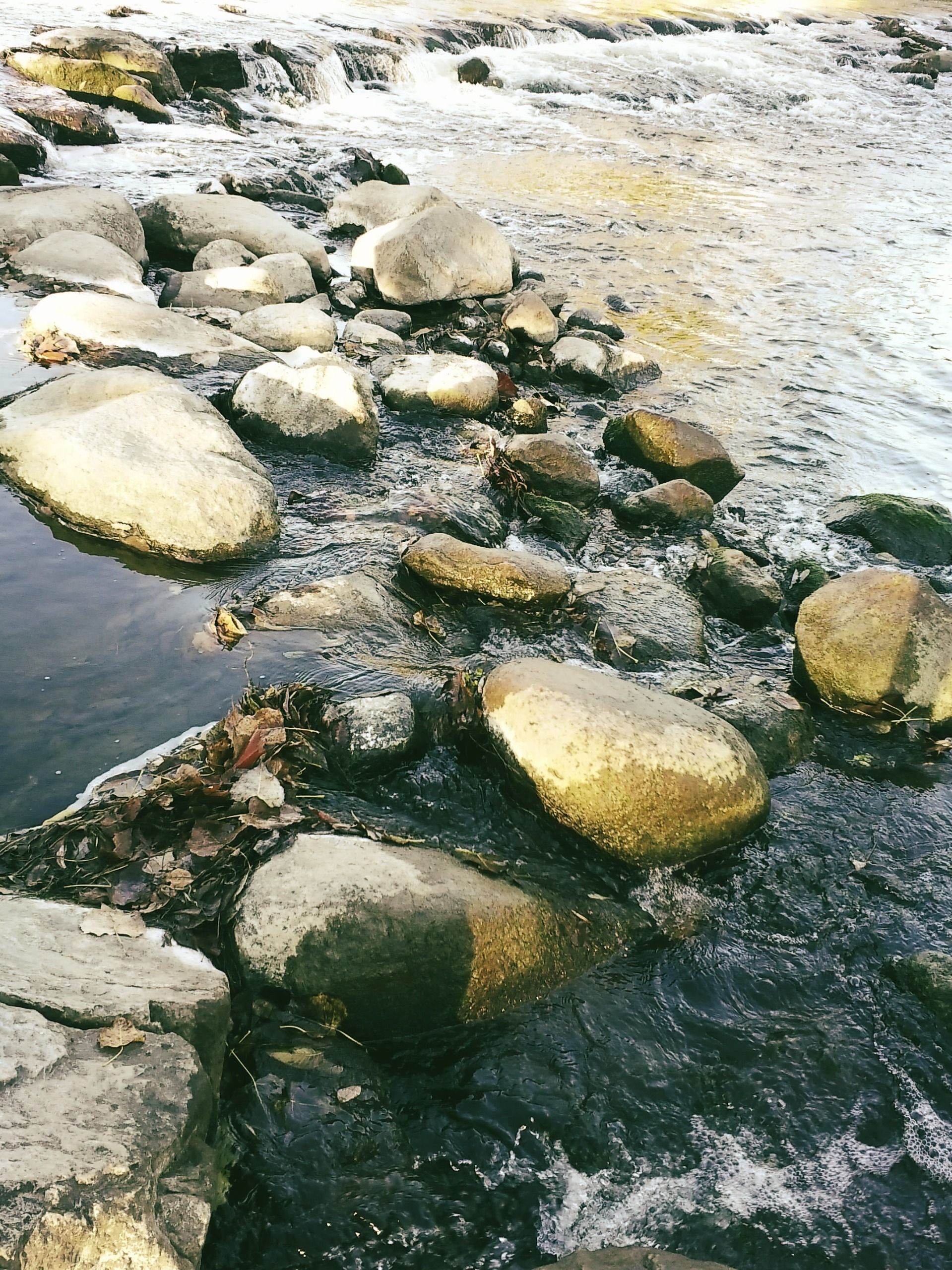 A sample image taken with the Instax Mini Evo 2