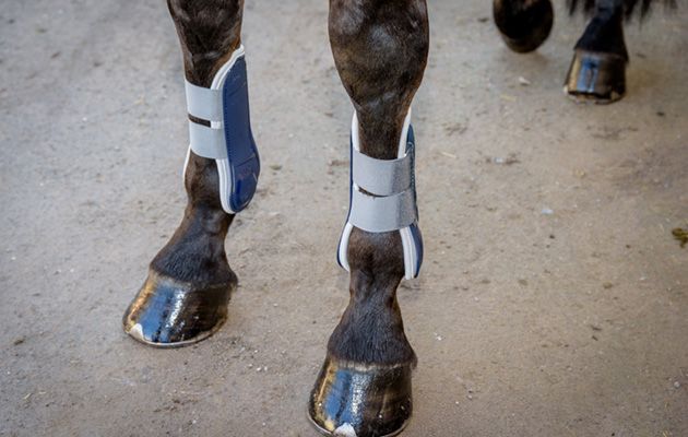 Felix B&uuml;hler Breathable Protection Tendon Boots review