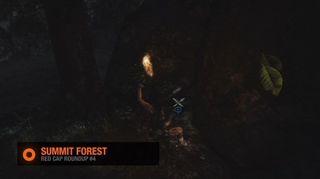 Tomb Raider Summit Forest Mushroom #4