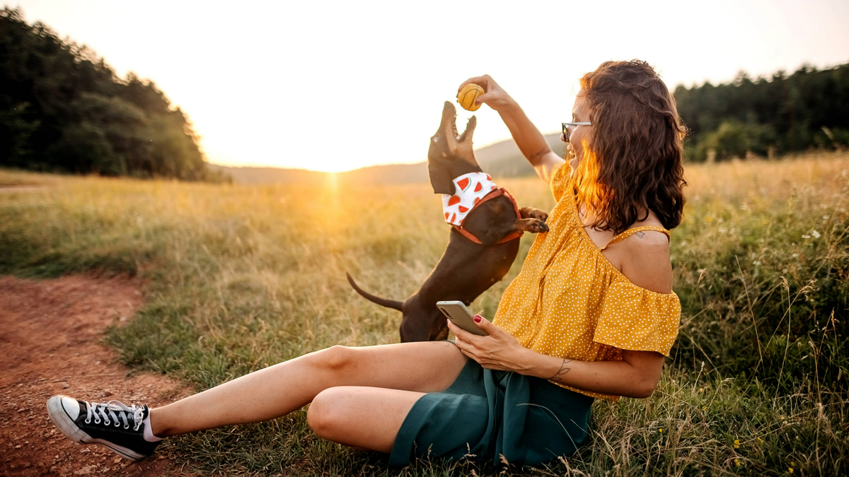 Woman sitting down in a field at sunset, holding a ball in her hand which her dog is jumping up at