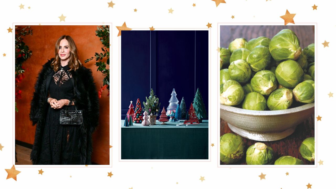 Compilation image of Trinny Woodall, centrepiece mini Christmas trees and a bowl sprouts to support Trinny Woodall&#039;s Sprout tree idea