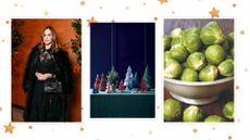 Compilation image of Trinny Woodall, centrepiece mini Christmas trees and a bowl sprouts to support Trinny Woodall's Sprout tree idea