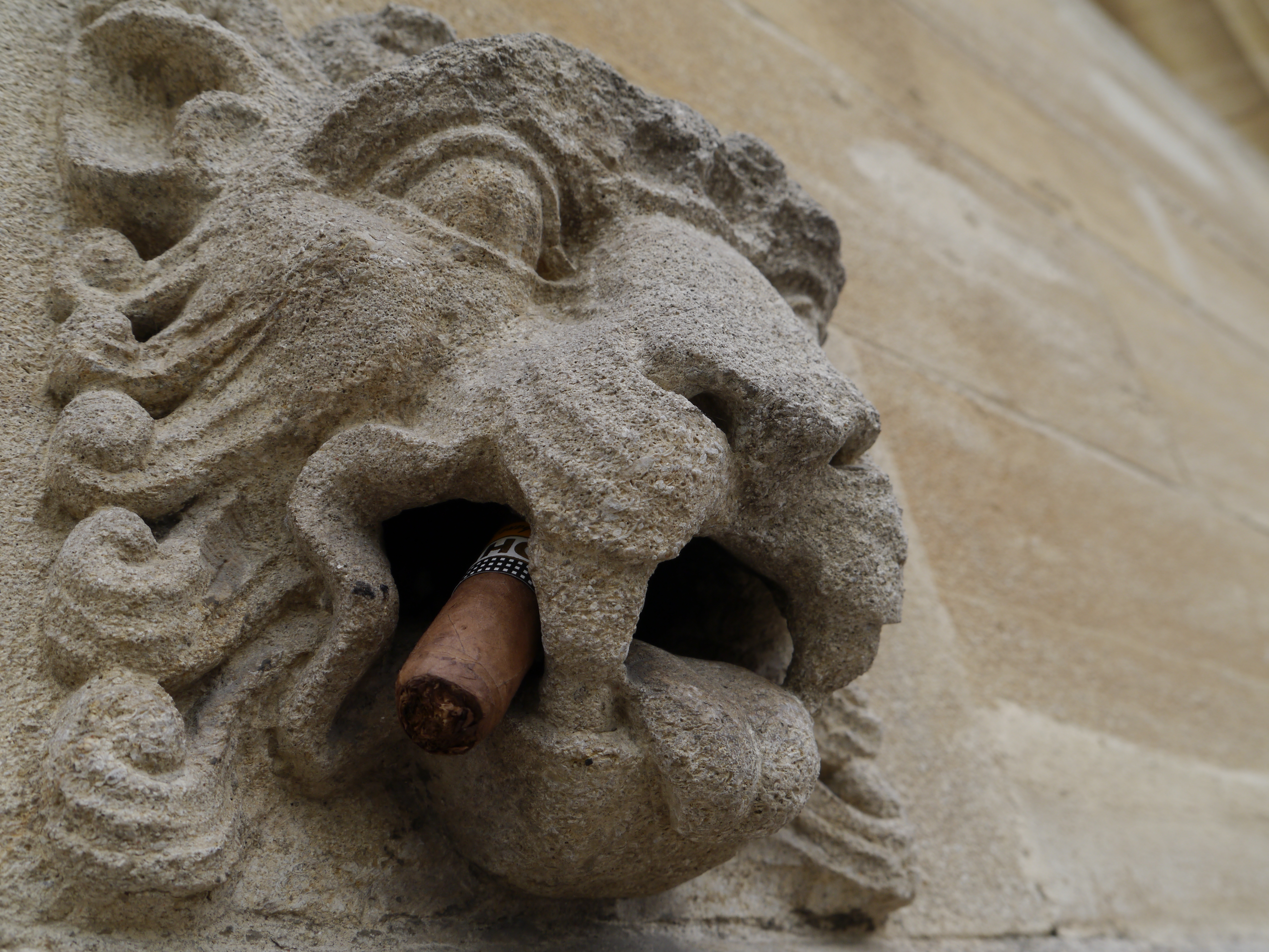 gargoyle