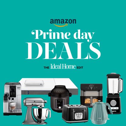 Amazon Prime Day graphic showing multiple home appliances on a gree background