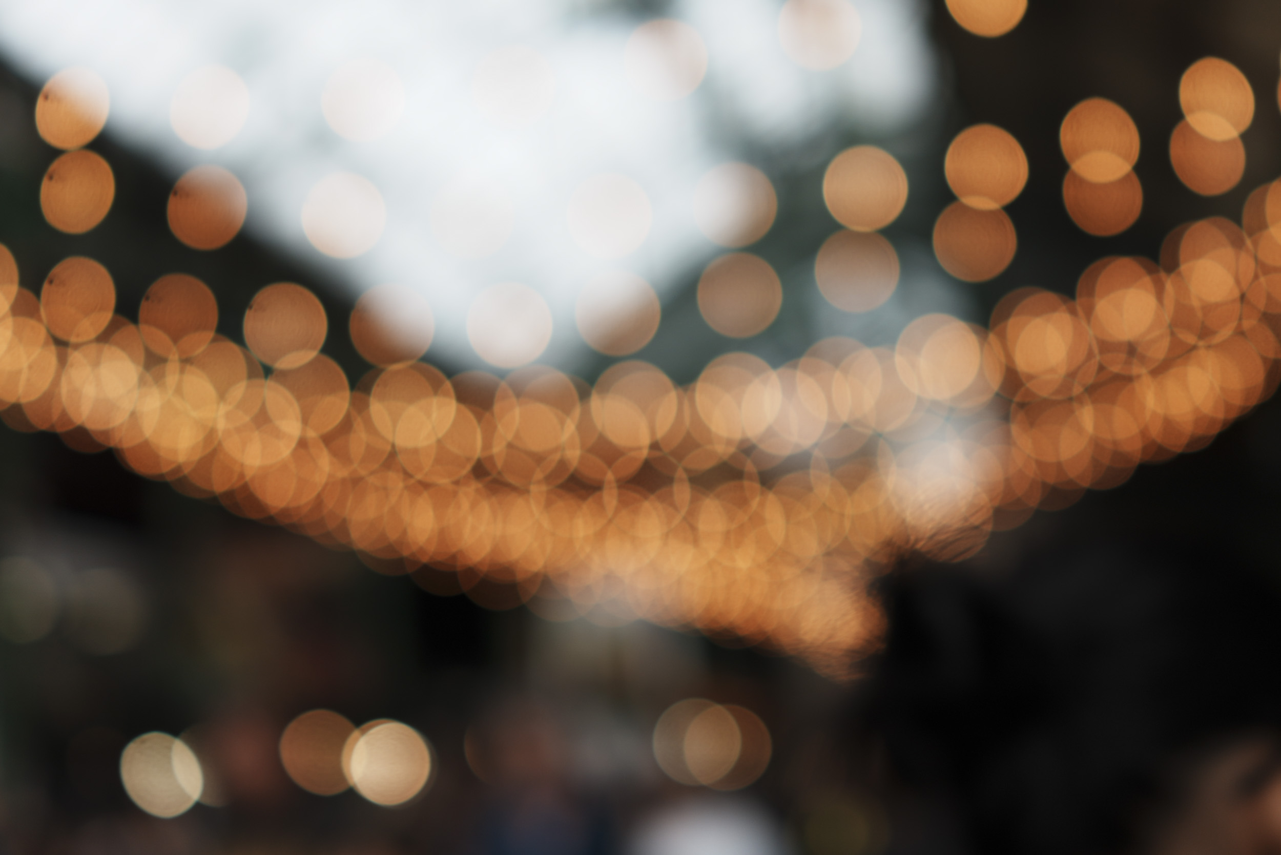 Sony RX1R III sample gallery: out of focus light
