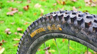 Continental Kryptotal Trail rear tire detailing the side knobs with a grass background