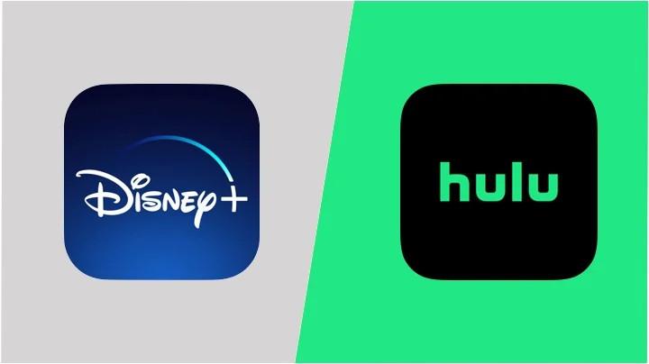 Combined Hulu-Disney+ Could Account for 30 of the Top 100 Streaming ...